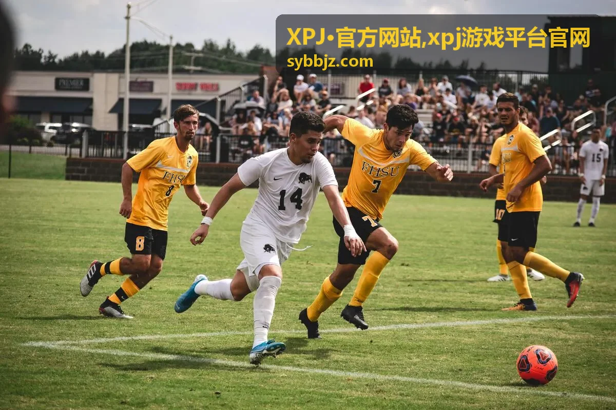 XPJ·官方网站 xpj游戏平台官网 平台指南封面