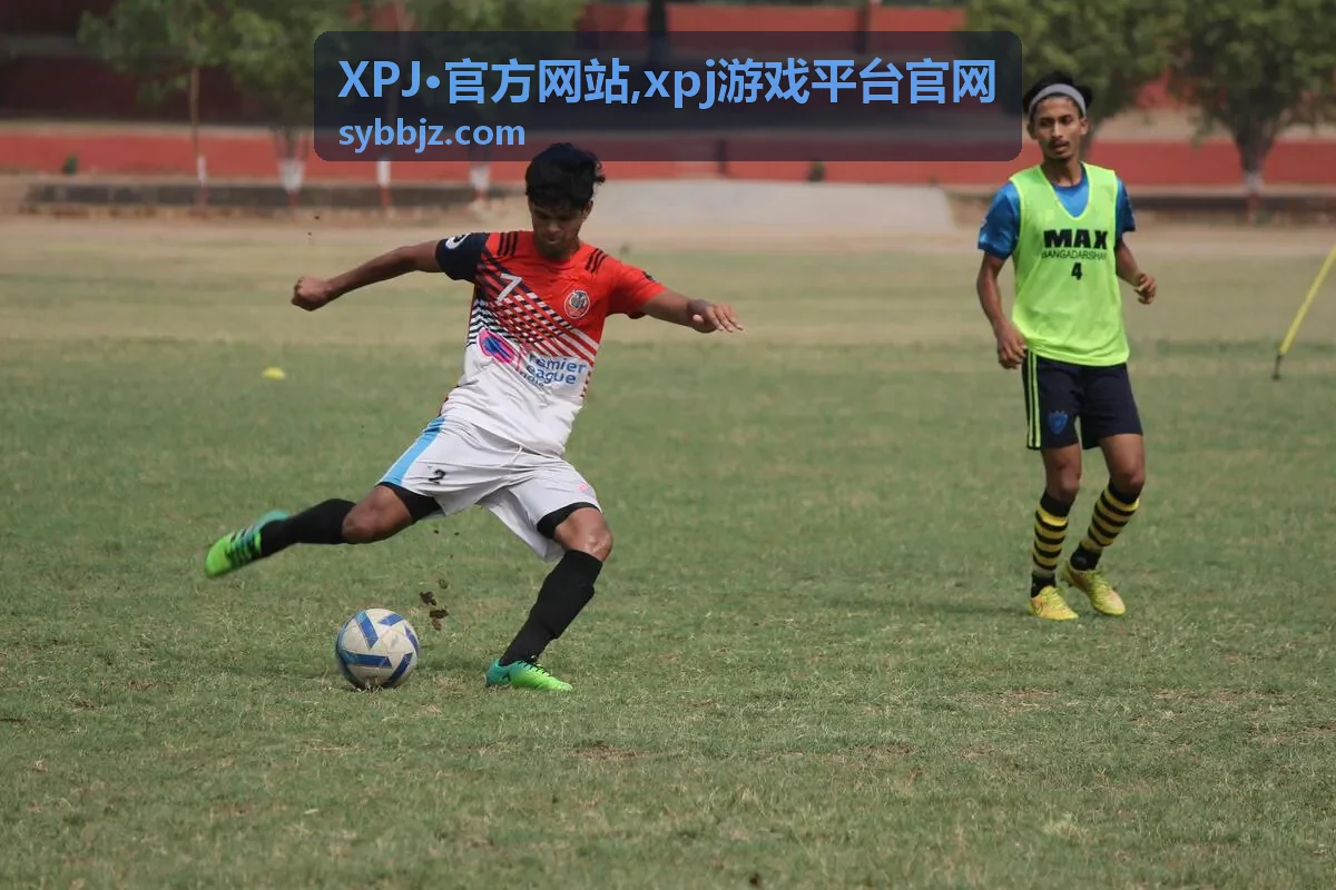 XPJ·官方网站 xpj游戏平台官网 安全说明封面