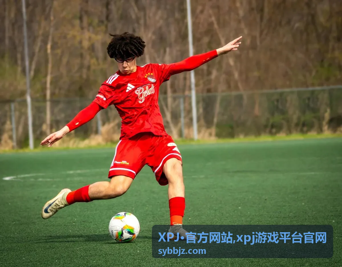 XPJ·官方网站 xpj游戏平台官网 常见问题封面