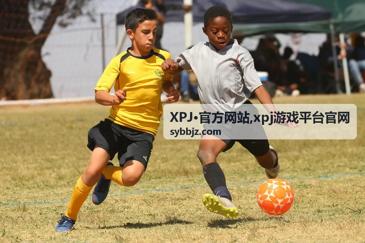 XPJ·官方网站 xpj游戏平台官网 入口提示封面